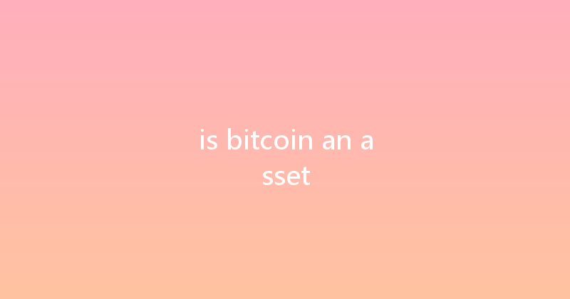 is bitcoin an asset 